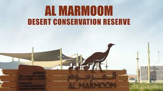 Al-Marmoom-Desert