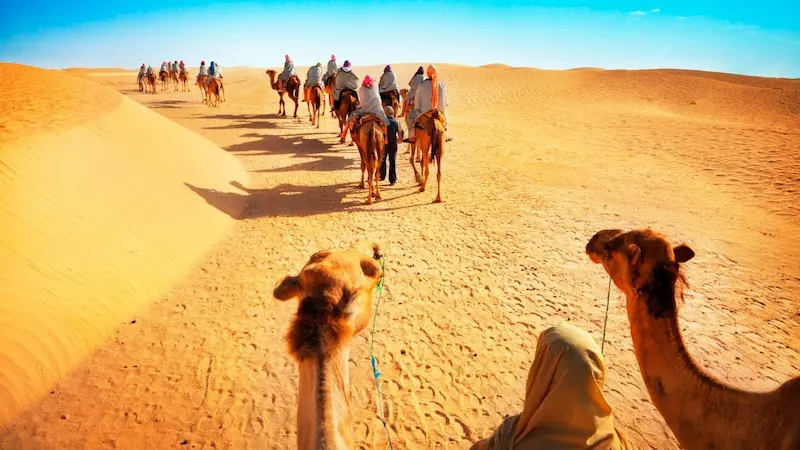 Camel-Riding