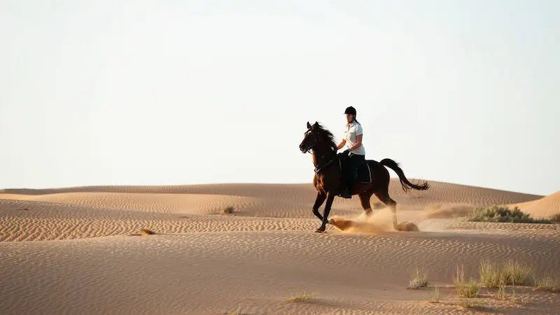 Horse-Riding-at-Al-Dhabi-Stable