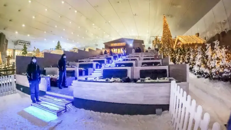 Snow-Cinema