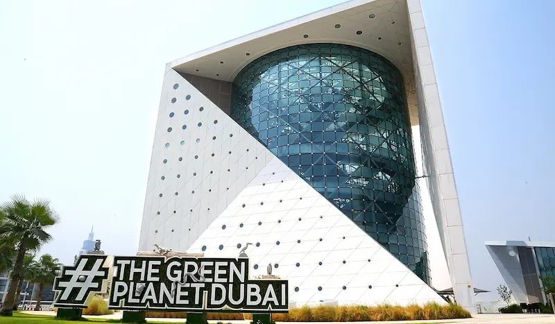 The-Green-Planet